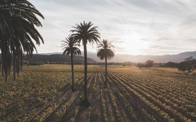 Beaulieu Vineyard