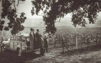 Beaulieu Vineyard