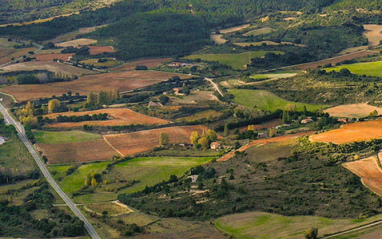 Bodegas Lozano