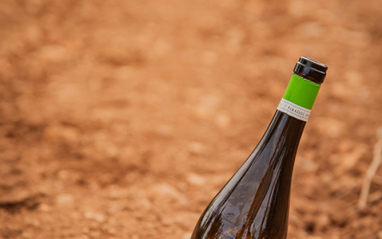 Botella de Paraísos Perdidos