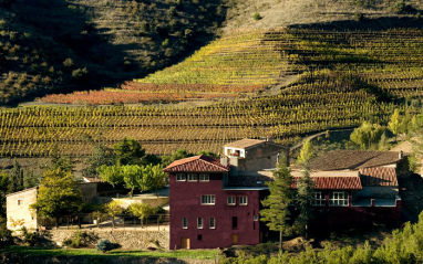 Imagen de la bodega de Montsant