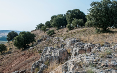 Paisaje de la finca Galia Soriana