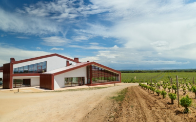 Fachada de la bodega Bosque de Matasnos
