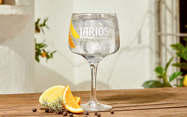 Larios Gin Dry
