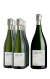 Mirgin Reserva 2022 (x6) con Magnum (x1)
