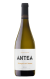 Marqués de Cáceres Antea 2025