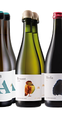 Producto: Descubre Art Laietà