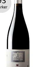 Santbru Tinto 2007