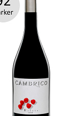 Cámbrico Rufete 2006