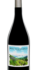 Viñas del Cámbrico 2010