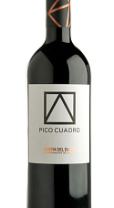 Pico Cuadro 2013