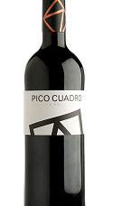 Pico Cuadro Vendimia Seleccionada 2013