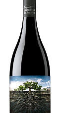 Garnacha Salvaje del Moncayo 2015