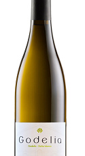 Godelia Blanco 2015