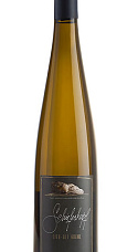Schieferkopf Riesling Lieu-dit Buehl 2010