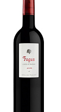 Fagus de Coto de Hayas 2014