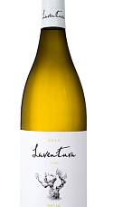 Laventura Viura 2014