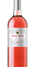 Pinna Fidelis Rosado 2016