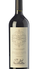 Gran Enemigo Gualtallary Single Vineyard 2012