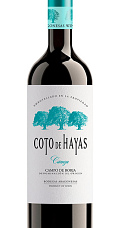 Coto de Hayas Crianza 2015