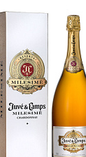 Juvé & Camps Milesimé Brut Reserva 2016 con estuche
