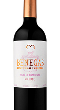 Benegas Single Vineyard Malbec 2017