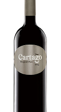 Cartago 2015