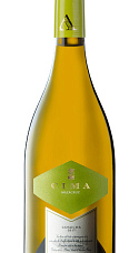 Cima Mazacruz Blanco 2019