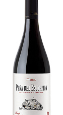 Peña Del Escorpión 2017