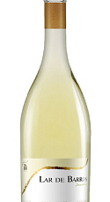 Lar de Barros Blanco 2019