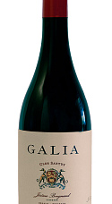 Galia Clos Santuy 2017