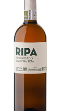 Ripa Rosado 2016