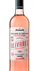 Olivares Rosado 2020