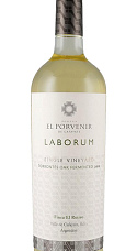 Laborum Torrontés OAK 2019