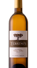 Terrenus Reserva Vinhas Velhas Branco 2017