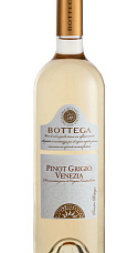 Bottega Pinot Grigio Venezia 2020