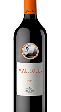Malleolus 2019