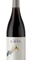 Valles de Lavia Venta del Pino 2019