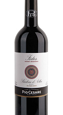 Pio Cesare Barbera D'Alba