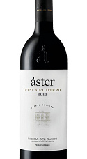Áster Finca El Otero 2016