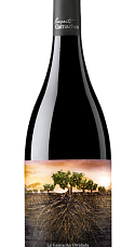 Garnacha Olvidada De Aragón 2021