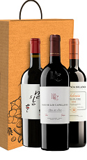 Descubre Ribera Duero