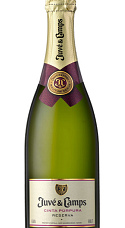 Producto: Juvé & Camps Cinta Púrpura 2021