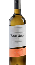 Producto: Cuatro Rayas Vendimia Nocturna Verdejo 2025