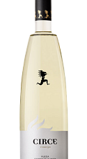 Producto: Circe Verdejo 2025