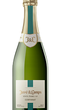 Producto: Juvé & Camps Cinta Xarel·lo 2021