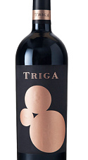 Producto: Triga 2021