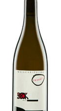 Producto: Beck Welschriesling Bambule! 2022