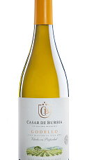 Producto: Casar Godello 2025