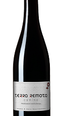 Producto: Camino 2023